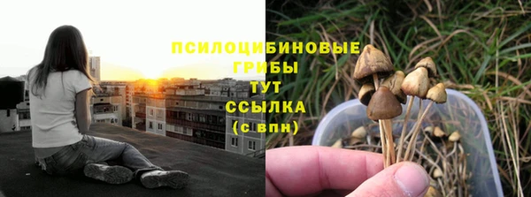 spice Бородино