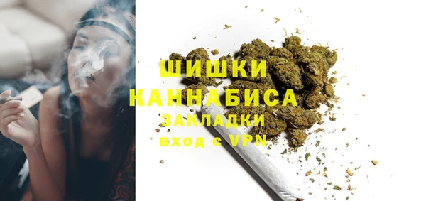 spice Бородино