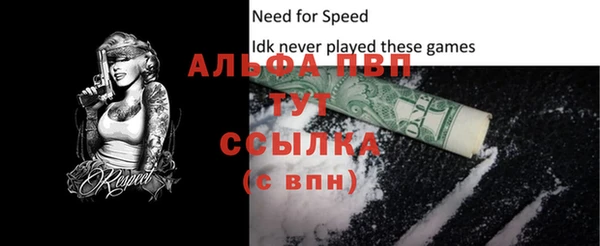 spice Бородино