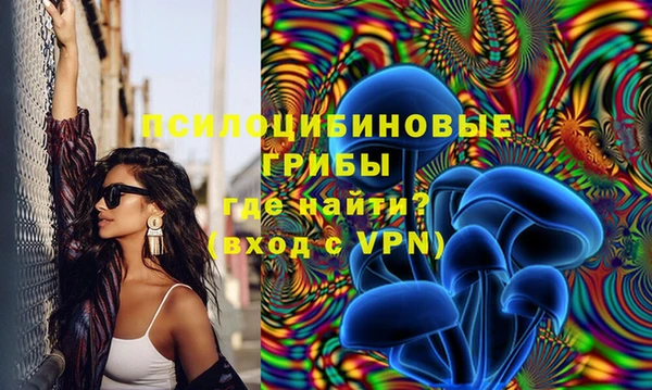 ГАЛЛЮЦИНОГЕННЫЕ ГРИБЫ Бугульма