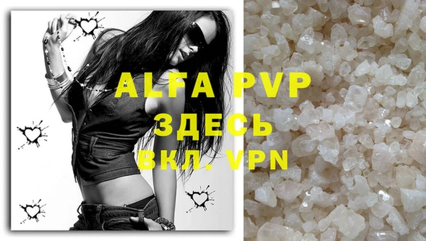 spice Бородино
