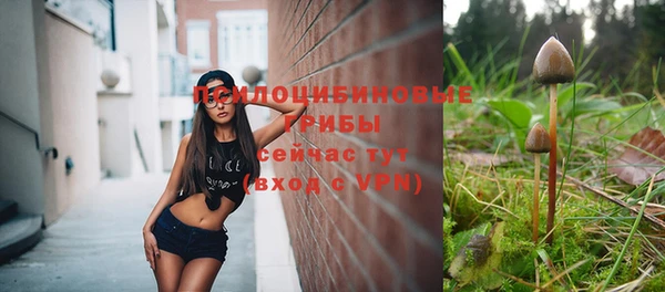 apvp Бронницы